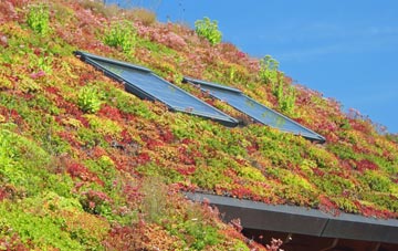 Bugbrooke living roof systems